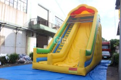 Double Slip n Slide Inflatable