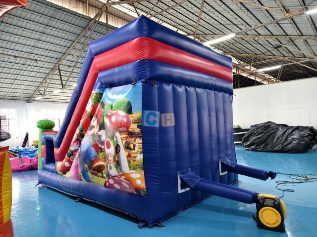 Inflatable Bounce House With Slide For Sale