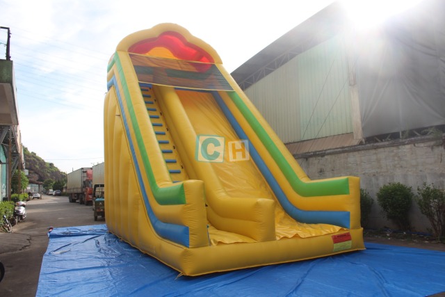 Double Slip n Slide Inflatable
