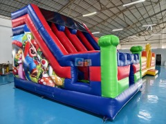 Inflatable Bounce House With Slide For Sale
