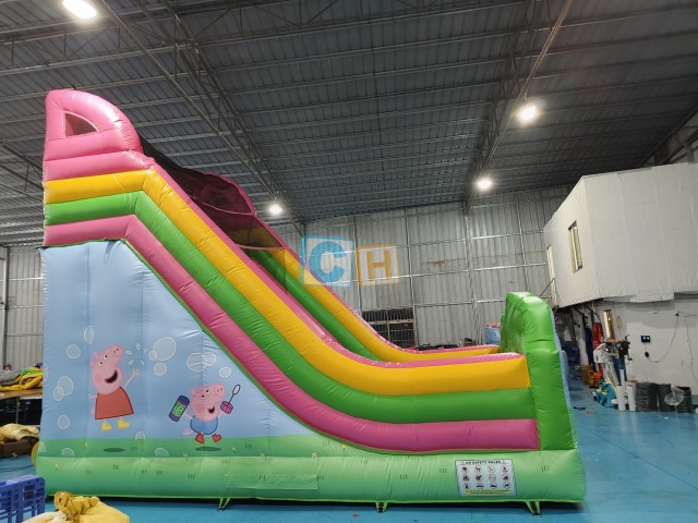 Inflatable Slide Bouncy Castle