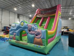 Inflatable Slide Bouncy Castle