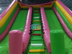 Inflatable Slide Bouncy Castle