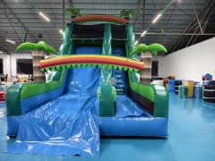 Inflatable Slide For Adults