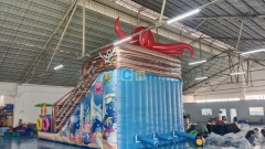 Inflatable Wet Dry Slides For Sale