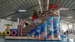 Inflatable Wet Dry Slides For Sale