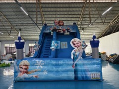 Used Inflatable Slides For Sale
