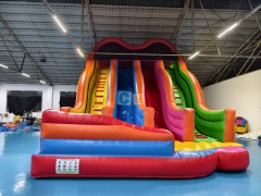 Jumbo Inflatable Slide