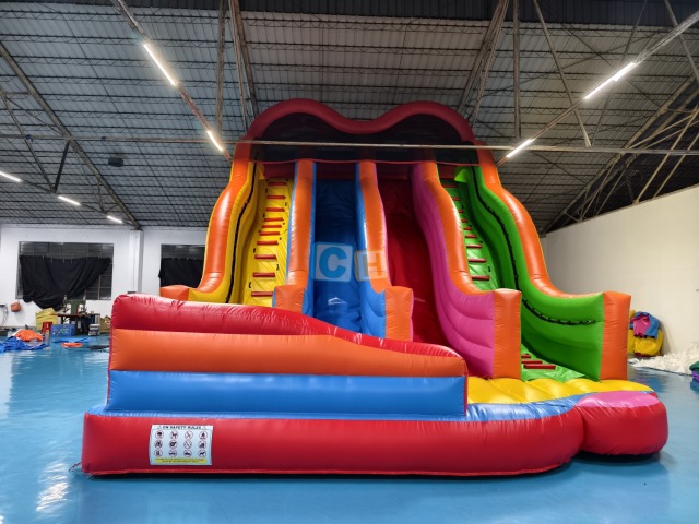 Jumbo Inflatable Slide