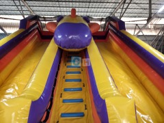 Used Inflatable Slide