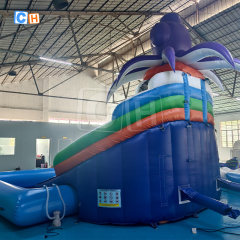 Commercial Inflatable Ocean Theme Water Slide with Pool