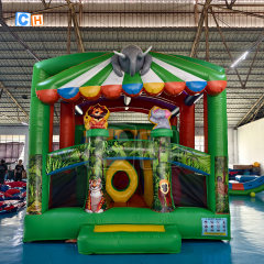 Outdoor Bounce House Jumping Castle for Kids Party