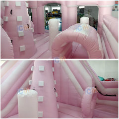 Commercial Pink PVC Inflatable Bouncer Combo with Blower