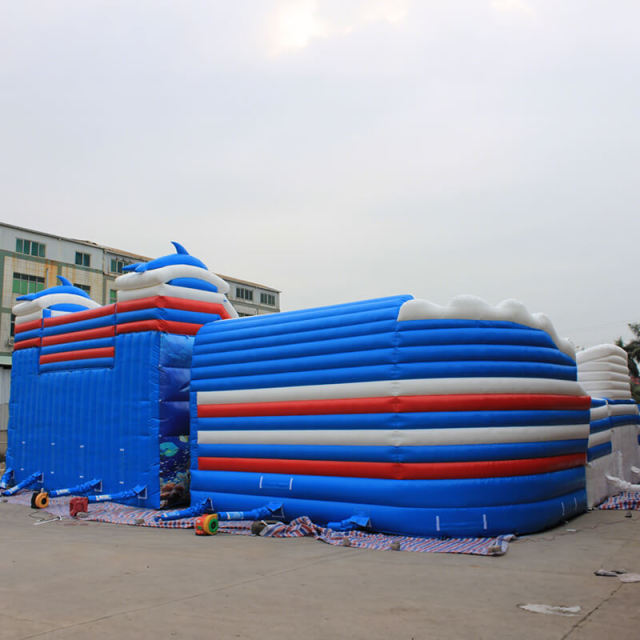 Dolphin Inflatable Water Park with Pool
