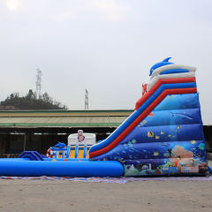 Dolphin Inflatable Water Park with Pool