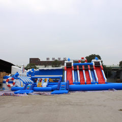 Dolphin Inflatable Water Park with Pool