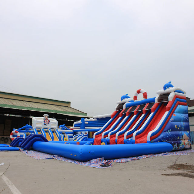 Dolphin Inflatable Water Park with Pool