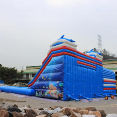 Dolphin Inflatable Water Park with Pool