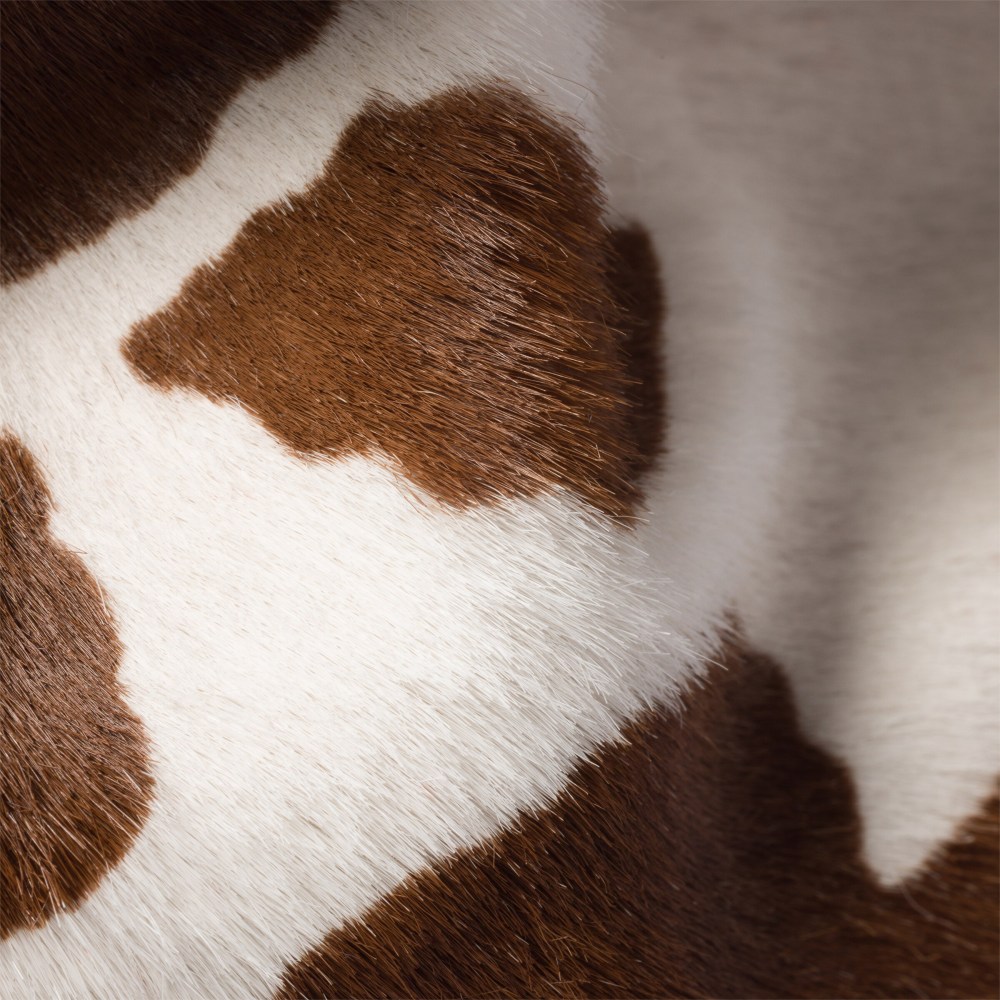 Printed leather backpack