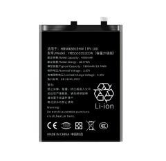 Honor 100 Battery