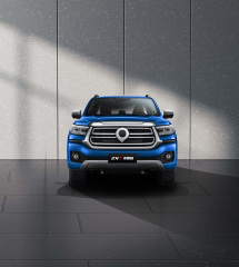 GWM POER PASSENGER