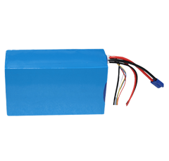 BMS mature capable de développer des logiciels