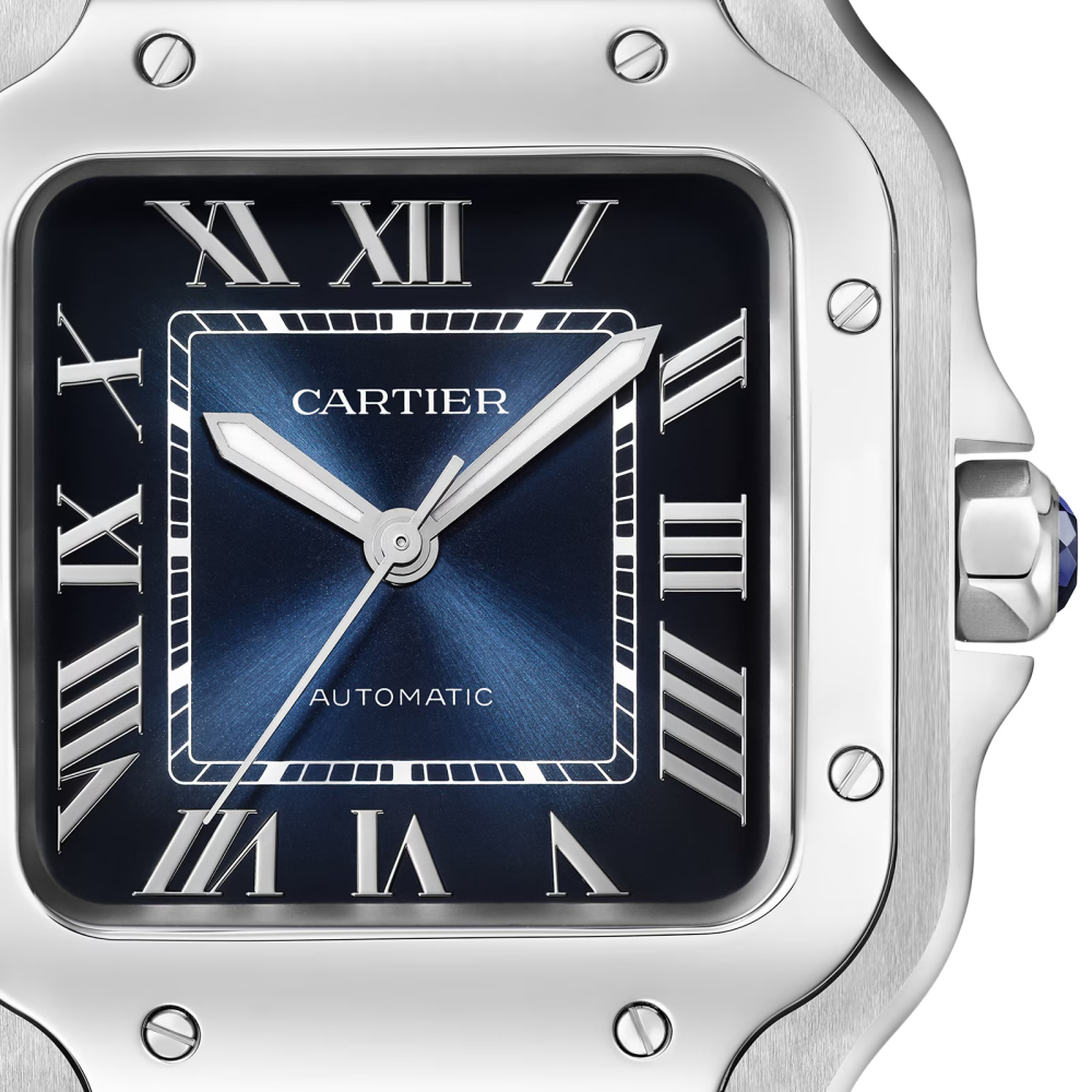 Cartier Santos WSSA0063 watch