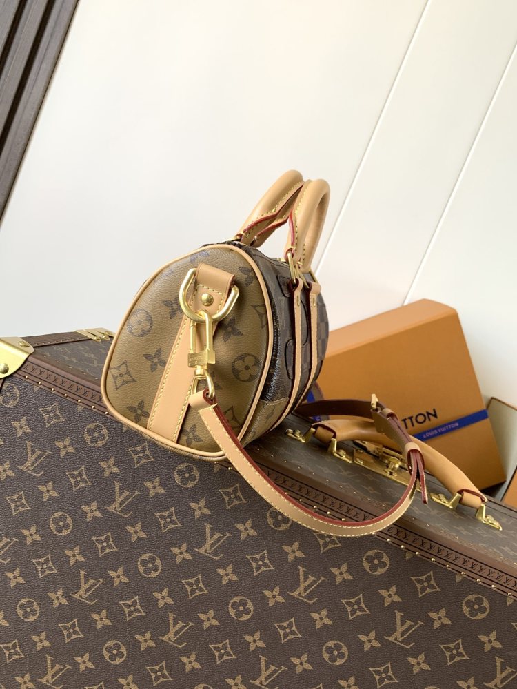 LOUIS VUITTON Keepall Bandoulière 25 Bag