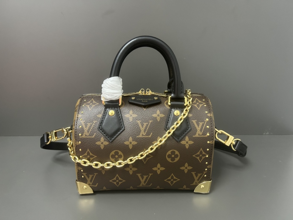 LOUIS VUITTON Speedy Trunk 20 Bag