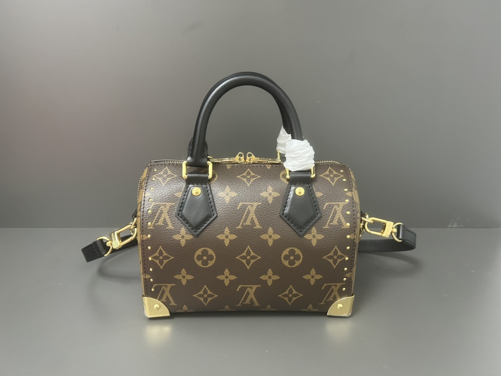 LOUIS VUITTON Speedy Trunk 20 Bag