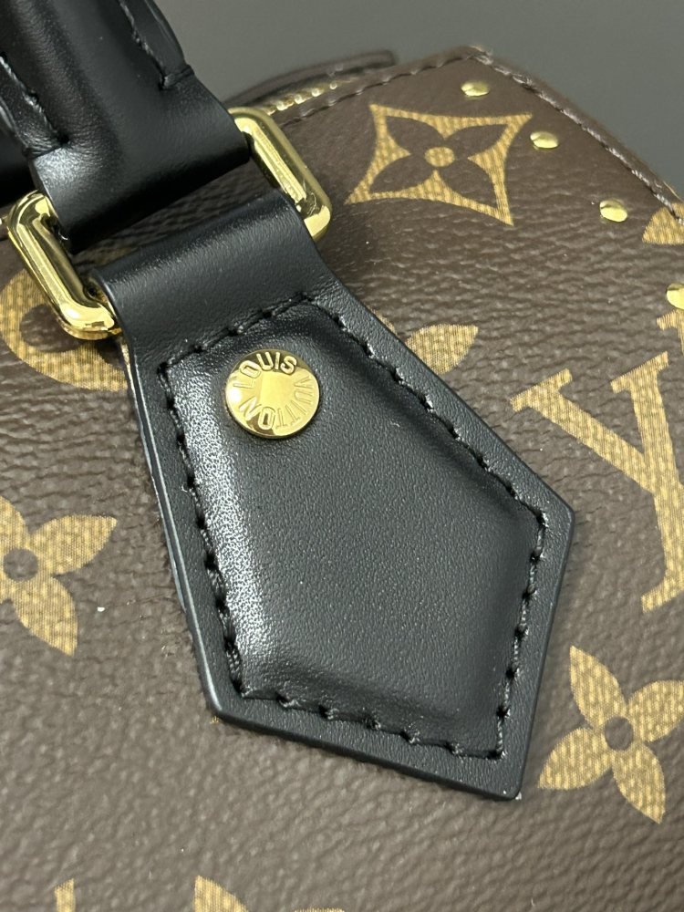 LOUIS VUITTON Speedy Trunk 20 Bag