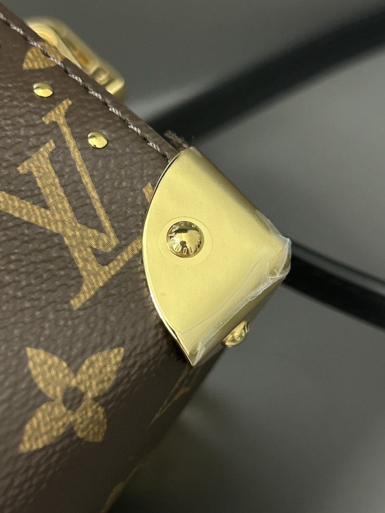 LOUIS VUITTON Speedy Trunk 20 Bag