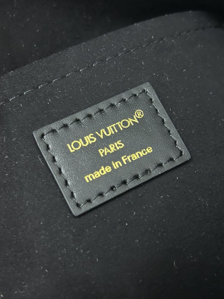 LOUIS VUITTON Speedy Trunk 20 Bag