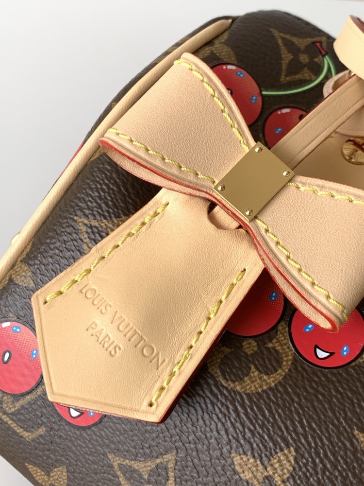 LOUIS VUITTON LV x TM Speedy Bandoulière 20 Bag