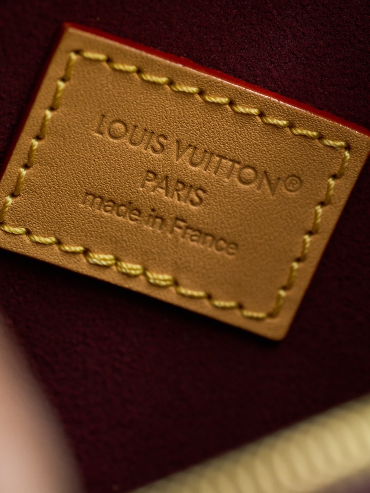 LOUIS VUITTON CarryAll PM Bag