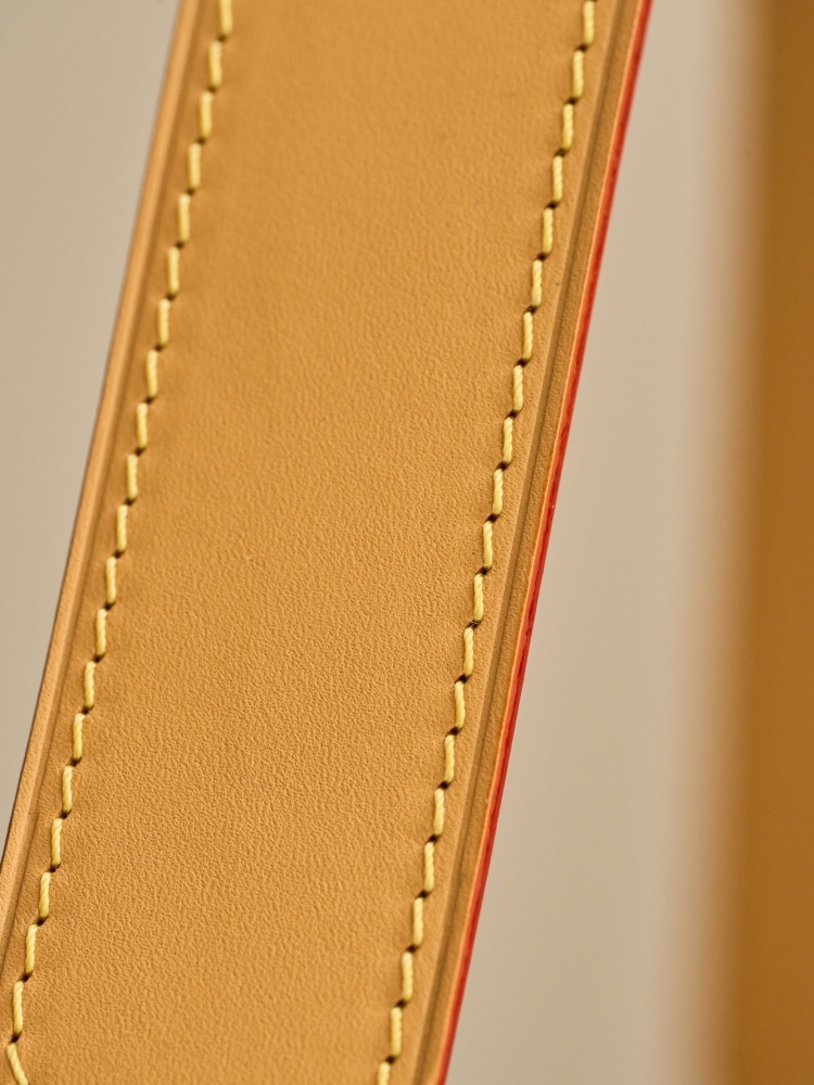 LOUIS VUITTON CarryAll PM Bag