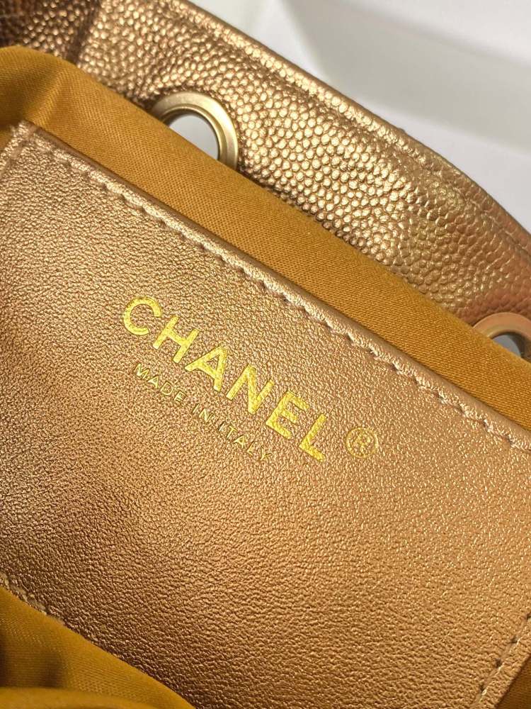CHANEL 25s hobo