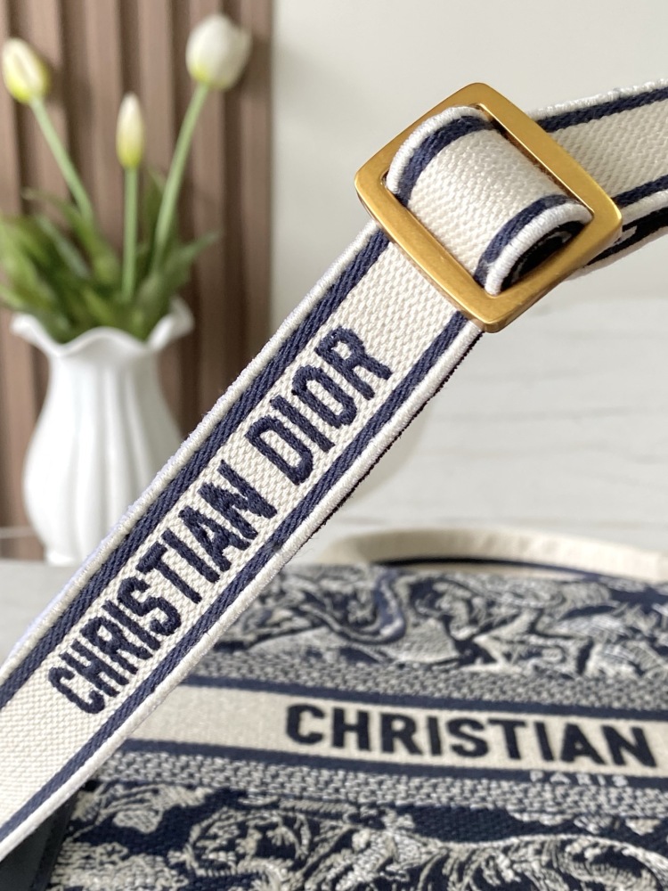 Dior Book Tote Handbag