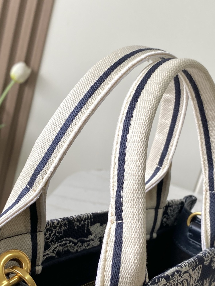 Dior Book Tote Handbag