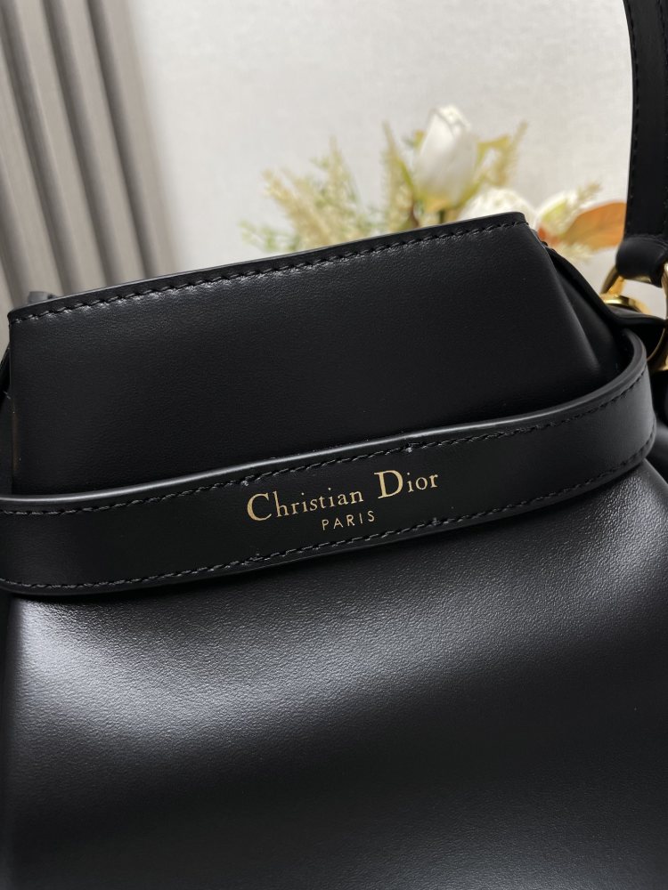 Dior C'est Dior handbag large