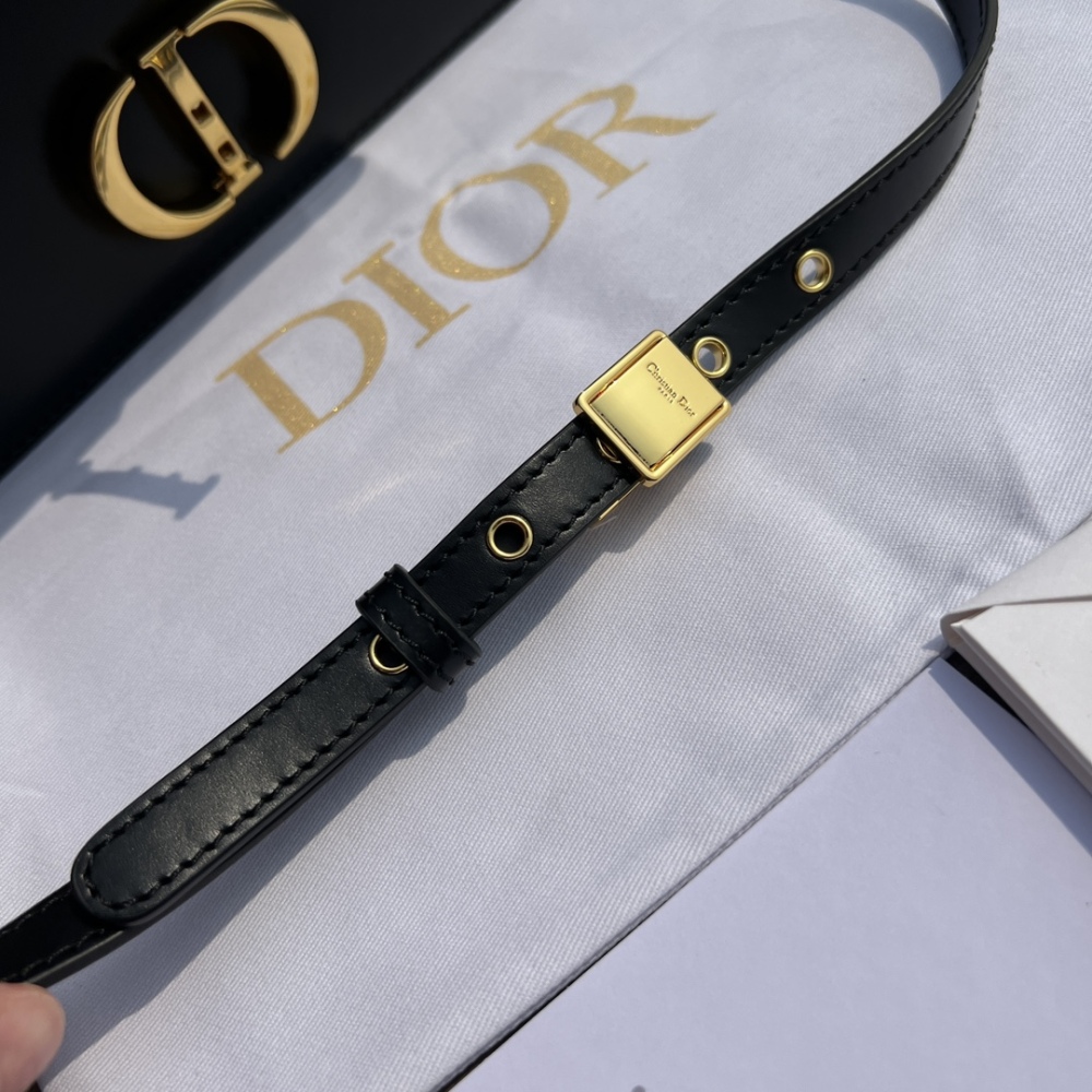 Dior 30Montaigne East-west chain handbag