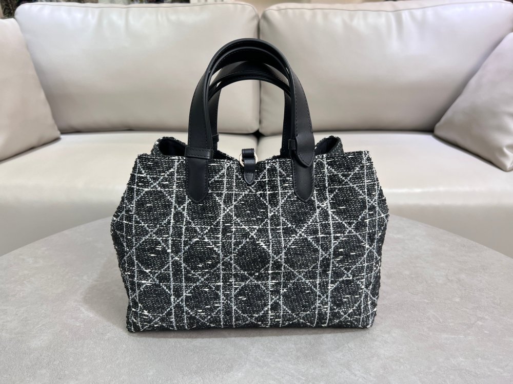 Dior Toujours handbag
