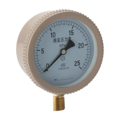 YE100 100mm Capsule Pressure gauge