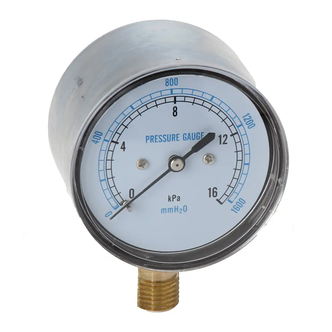YE60 M141.5 Isolation Capsule Pressure Gauge With Threading