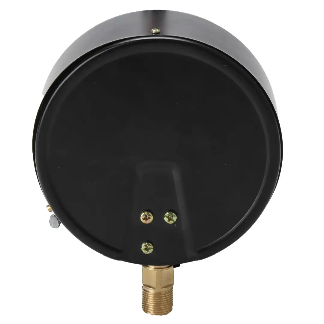 YE150 Stainless Steel Capsule Pressure gauge