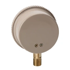 YE100 100mm Capsule Pressure gauge