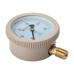 YE100 100mm Capsule Pressure gauge