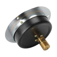 Y100-ZT Axial Pressure Gauge With Flange Edge