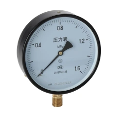 Y150 General Pressure Gauge 150mm