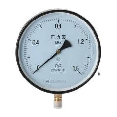 Y200 General Pressure Gauge 200mm